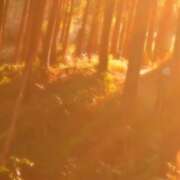 ヒメ日記 2025/01/14 11:29 投稿 ゆり(ファースト) Second Love(セカンドラブ)