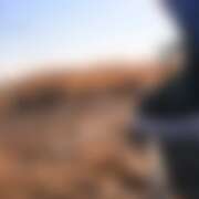 ヒメ日記 2025/01/16 15:54 投稿 ゆり(ファースト) Second Love(セカンドラブ)