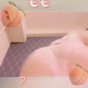 ヒメ日記 2025/03/03 07:00 投稿 ゆり（ファースト） Second Love（セカンドラブ）