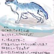 ヒメ日記 2025/03/08 20:30 投稿 ゆり（ファースト） Second Love（セカンドラブ）