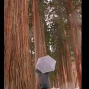 ヒメ日記 2025/04/01 16:19 投稿 ゆり（ファースト） Second Love（セカンドラブ）