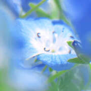 ヒメ日記 2025/04/30 17:51 投稿 ゆり（ファースト） Second Love（セカンドラブ）