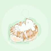 ヒメ日記 2025/05/12 14:27 投稿 ゆり（ファースト） Second Love（セカンドラブ）