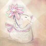 ヒメ日記 2025/05/31 17:06 投稿 ゆり（ファースト） Second Love（セカンドラブ）