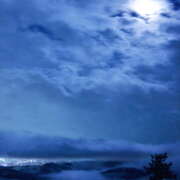 ヒメ日記 2025/06/15 04:40 投稿 ゆり（ファースト） Second Love（セカンドラブ）