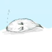 ヒメ日記 2025/08/03 06:28 投稿 ゆり（ファースト） Second Love（セカンドラブ）