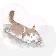 ヒメ日記 2025/08/13 02:34 投稿 ゆり（ファースト） Second Love（セカンドラブ）