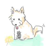 ヒメ日記 2025/08/17 05:18 投稿 ゆり（ファースト） Second Love（セカンドラブ）