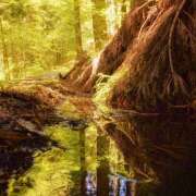 ヒメ日記 2025/09/22 18:40 投稿 ゆり（ファースト） Second Love（セカンドラブ）