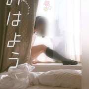 ヒメ日記 2025/10/11 08:55 投稿 ゆり（ファースト） Second Love（セカンドラブ）