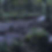 ヒメ日記 2025/10/20 21:02 投稿 ゆり（ファースト） Second Love（セカンドラブ）