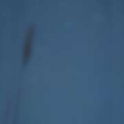 ヒメ日記 2025/11/11 22:06 投稿 ゆり（ファースト） Second Love（セカンドラブ）