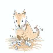 ヒメ日記 2025/11/12 14:37 投稿 ゆり（ファースト） Second Love（セカンドラブ）