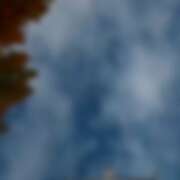 ヒメ日記 2025/11/20 15:49 投稿 ゆり（ファースト） Second Love（セカンドラブ）