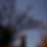 ヒメ日記 2025/12/08 04:53 投稿 ゆり（ファースト） Second Love（セカンドラブ）