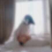 ヒメ日記 2026/02/25 14:47 投稿 ゆり（ファースト） Second Love（セカンドラブ）