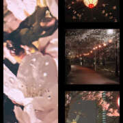 ヒメ日記 2026/03/27 22:11 投稿 ゆり（ファースト） Second Love（セカンドラブ）