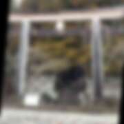 ヒメ日記 2026/04/08 19:27 投稿 ゆり（ファースト） Second Love（セカンドラブ）