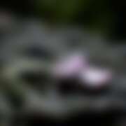 ヒメ日記 2026/04/11 07:41 投稿 ゆり（ファースト） Second Love（セカンドラブ）