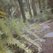 ヒメ日記 2026/06/20 08:21 投稿 ゆり(ファースト) Second Love(セカンドラブ)