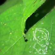ヒメ日記 2026/09/20 08:57 投稿 ゆり(ファースト) Second Love(セカンドラブ)