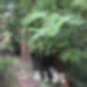 ヒメ日記 2026/10/03 12:41 投稿 ゆり（ファースト） Second Love（セカンドラブ）