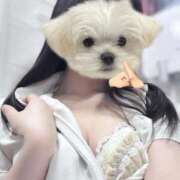 ヒメ日記 2025/10/03 12:06 投稿 ゆう 横浜しこたまクリニック