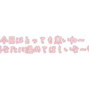 ヒメ日記 2024/12/16 22:51 投稿 あずさ 鹿児島ちゃんこ 天文館店