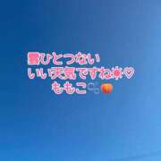 ヒメ日記 2024/11/03 09:07 投稿 ももこ 鹿児島ちゃんこ 薩摩川内店