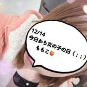 ヒメ日記 2024/12/14 12:49 投稿 ももこ 鹿児島ちゃんこ 薩摩川内店