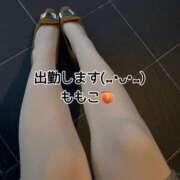 ヒメ日記 2024/12/19 20:10 投稿 ももこ 鹿児島ちゃんこ 薩摩川内店