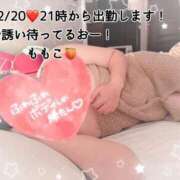 ヒメ日記 2024/12/20 16:51 投稿 ももこ 鹿児島ちゃんこ 薩摩川内店