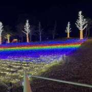 ヒメ日記 2024/12/22 23:05 投稿 ももこ 鹿児島ちゃんこ 薩摩川内店