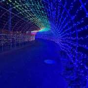 ヒメ日記 2024/12/24 08:50 投稿 ももこ 鹿児島ちゃんこ 薩摩川内店