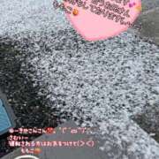 ヒメ日記 2025/02/04 10:43 投稿 ももこ 鹿児島ちゃんこ 薩摩川内店