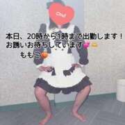 ヒメ日記 2025/02/13 10:58 投稿 ももこ 鹿児島ちゃんこ 薩摩川内店