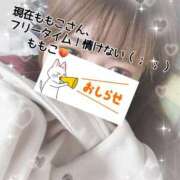 ヒメ日記 2025/02/15 22:16 投稿 ももこ 鹿児島ちゃんこ 薩摩川内店