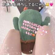 ヒメ日記 2025/03/12 16:34 投稿 ももこ 鹿児島ちゃんこ 薩摩川内店