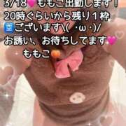 ヒメ日記 2025/03/18 18:40 投稿 ももこ 鹿児島ちゃんこ 薩摩川内店