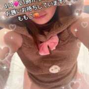 ヒメ日記 2025/04/04 11:08 投稿 ももこ 鹿児島ちゃんこ 薩摩川内店