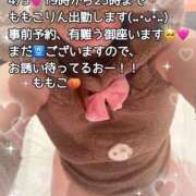 ヒメ日記 2025/04/05 18:36 投稿 ももこ 鹿児島ちゃんこ 薩摩川内店