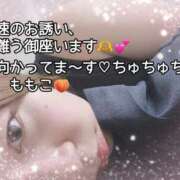 ヒメ日記 2025/06/12 20:34 投稿 ももこ 鹿児島ちゃんこ 薩摩川内店