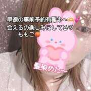 ヒメ日記 2025/06/13 19:46 投稿 ももこ 鹿児島ちゃんこ 薩摩川内店