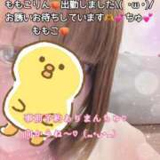 ヒメ日記 2025/06/21 18:42 投稿 ももこ 鹿児島ちゃんこ 薩摩川内店