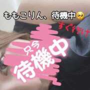 ヒメ日記 2025/06/24 20:25 投稿 ももこ 鹿児島ちゃんこ 薩摩川内店