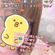 ヒメ日記 2025/07/08 19:45 投稿 ももこ 鹿児島ちゃんこ 薩摩川内店