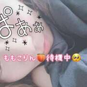 ヒメ日記 2025/09/24 22:33 投稿 ももこ 鹿児島ちゃんこ 薩摩川内店