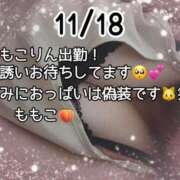 ヒメ日記 2025/11/18 20:01 投稿 ももこ 鹿児島ちゃんこ 薩摩川内店