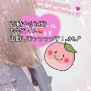 ヒメ日記 2026/01/17 14:58 投稿 ももこ 鹿児島ちゃんこ 薩摩川内店