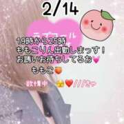 ももこ ＊19時から出勤！＊ 鹿児島ちゃんこ 薩摩川内店